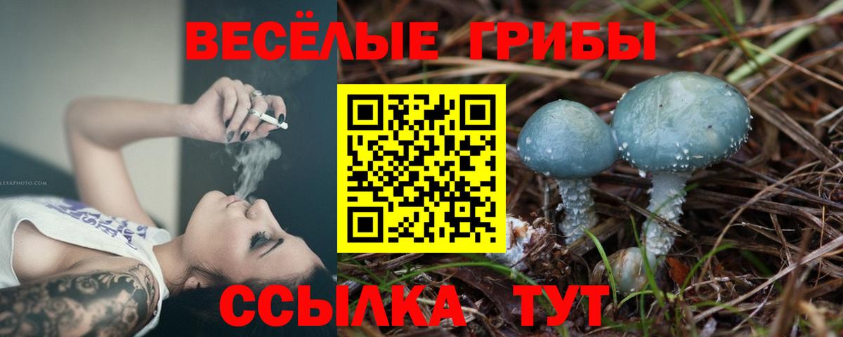 Псилоцибиновые грибы ЛСД Углич